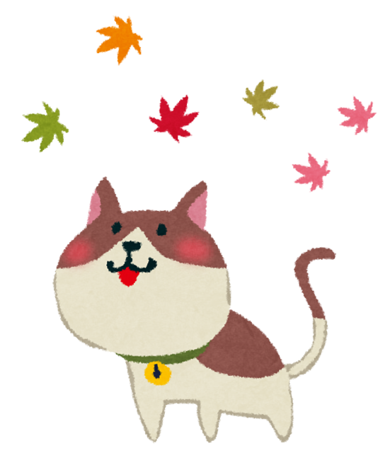 kouyou_cat.png