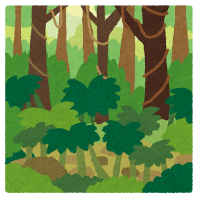 mori_jungle.png