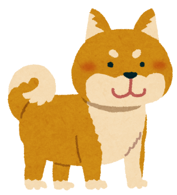 shibainu_brown.png